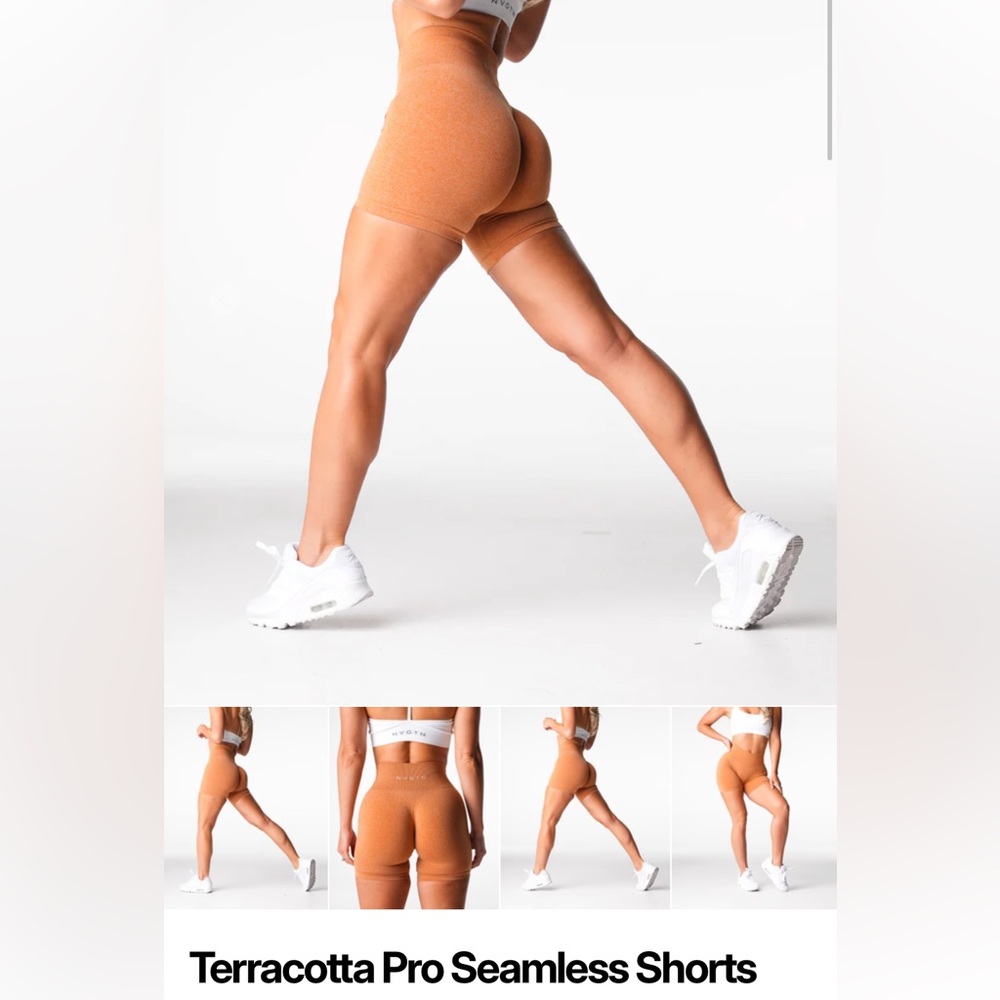 NVGTN Seamless Athletic Shorts in Terracotta
